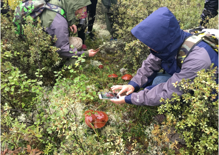 汗马图1.png 汗马图1.png