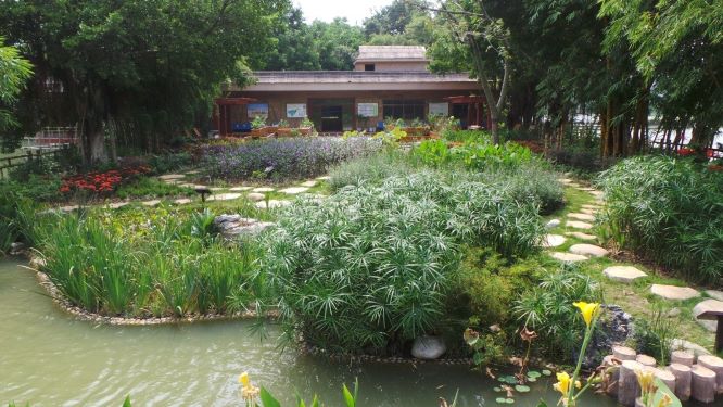 7湿地科普园.jpg 7湿地科普园.jpg