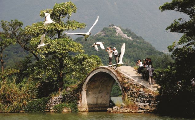 12丹顶鹤.jpg 12丹顶鹤.jpg