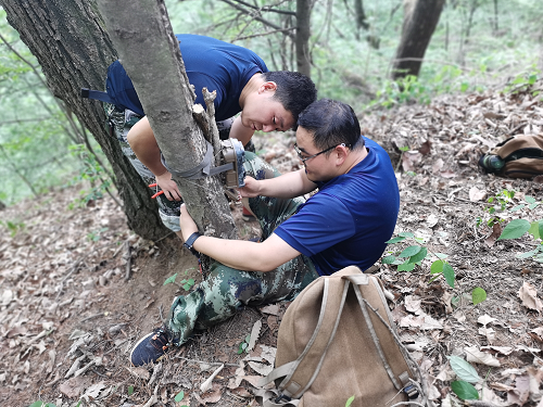 宝天曼11.png 宝天曼11.png