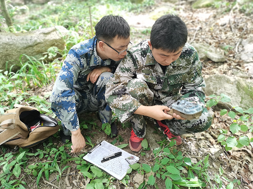 宝天曼22.png 宝天曼22.png