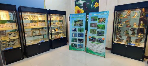 广西科普展示馆.jpg 广西科普展示馆.jpg