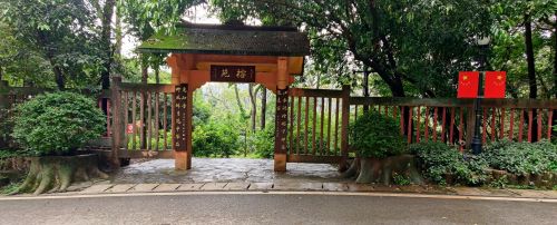 广西民族珍稀植物园(榕苑).jpg 广西民族珍稀植物园(榕苑).jpg