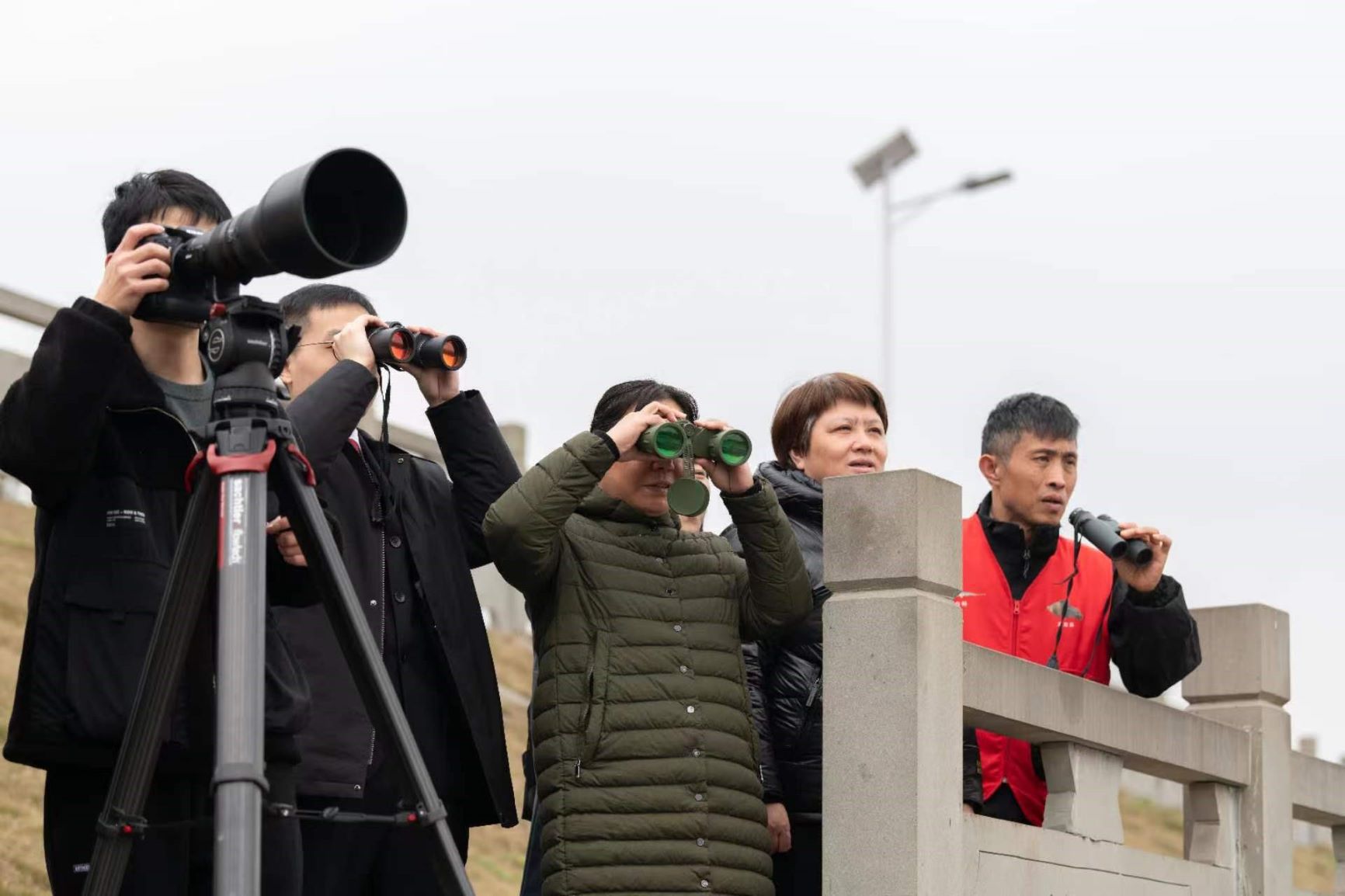 巡河护鸟41.jpg 巡河护鸟41.jpg