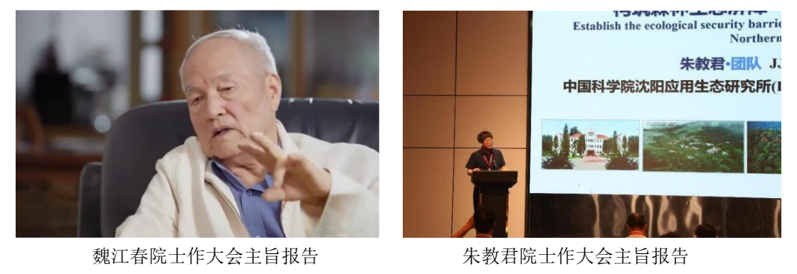 1729130768775.png 1729130768775.png