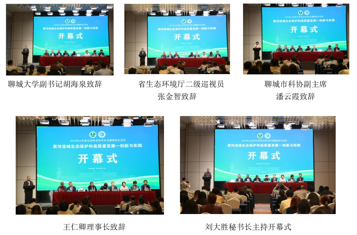 1729130816460.png 1729130816460.png