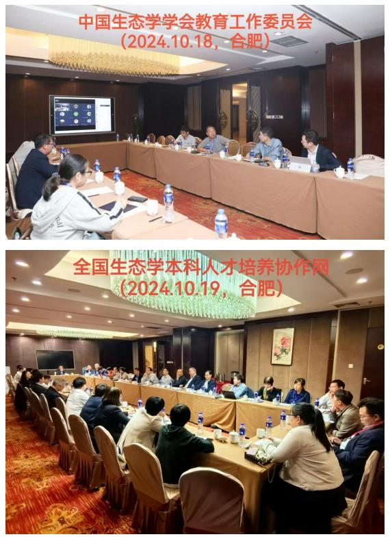 1730083693049.png 1730083693049.png