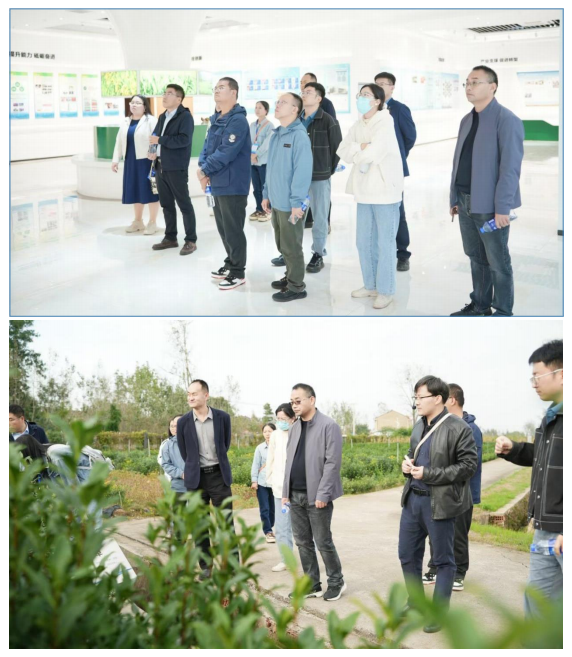 1730083769025.png 1730083769025.png