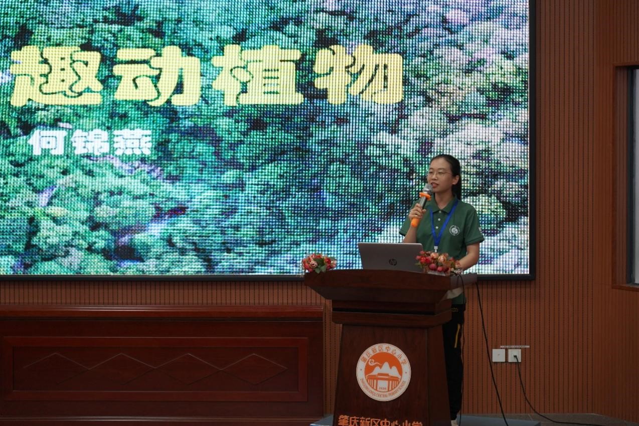 鼎湖山2.jpg 鼎湖山2.jpg