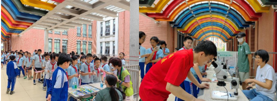 鼎湖山11.png 鼎湖山11.png