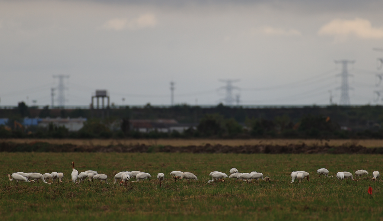 鄱阳湖3.png 鄱阳湖3.png