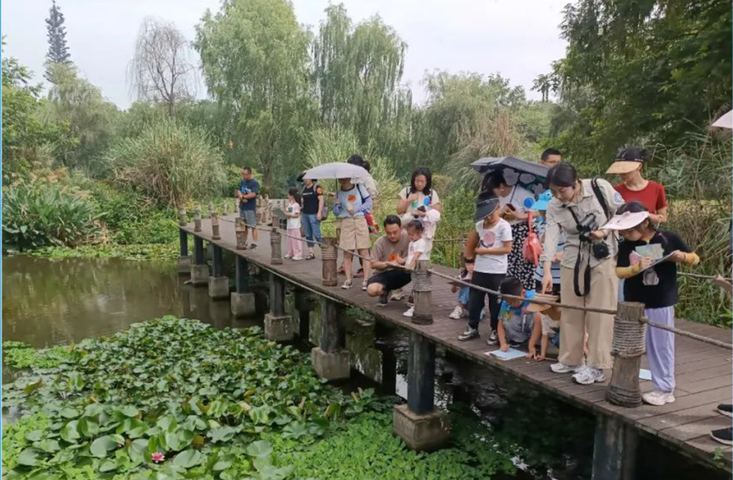 图片5.png 图片5.png