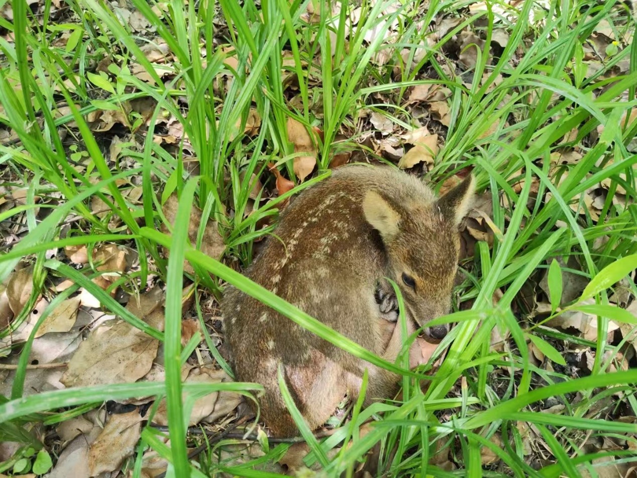 图片6.jpg 图片6.jpg