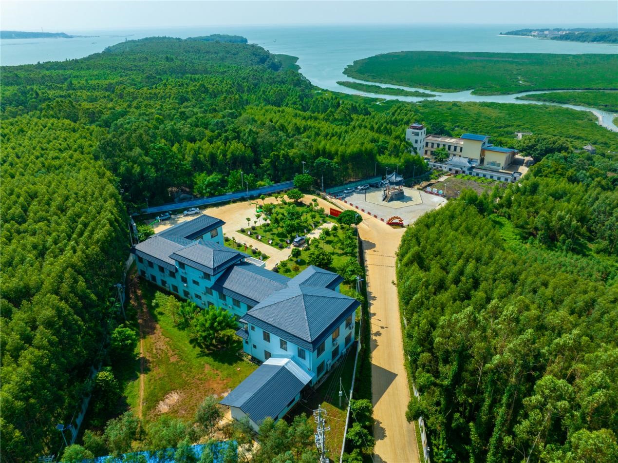 图片1.jpg 图片1.jpg