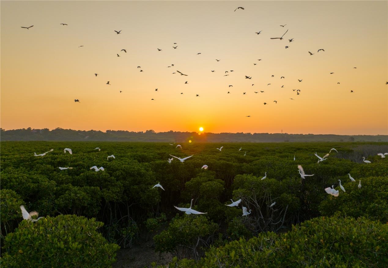 图片3.jpg 图片3.jpg