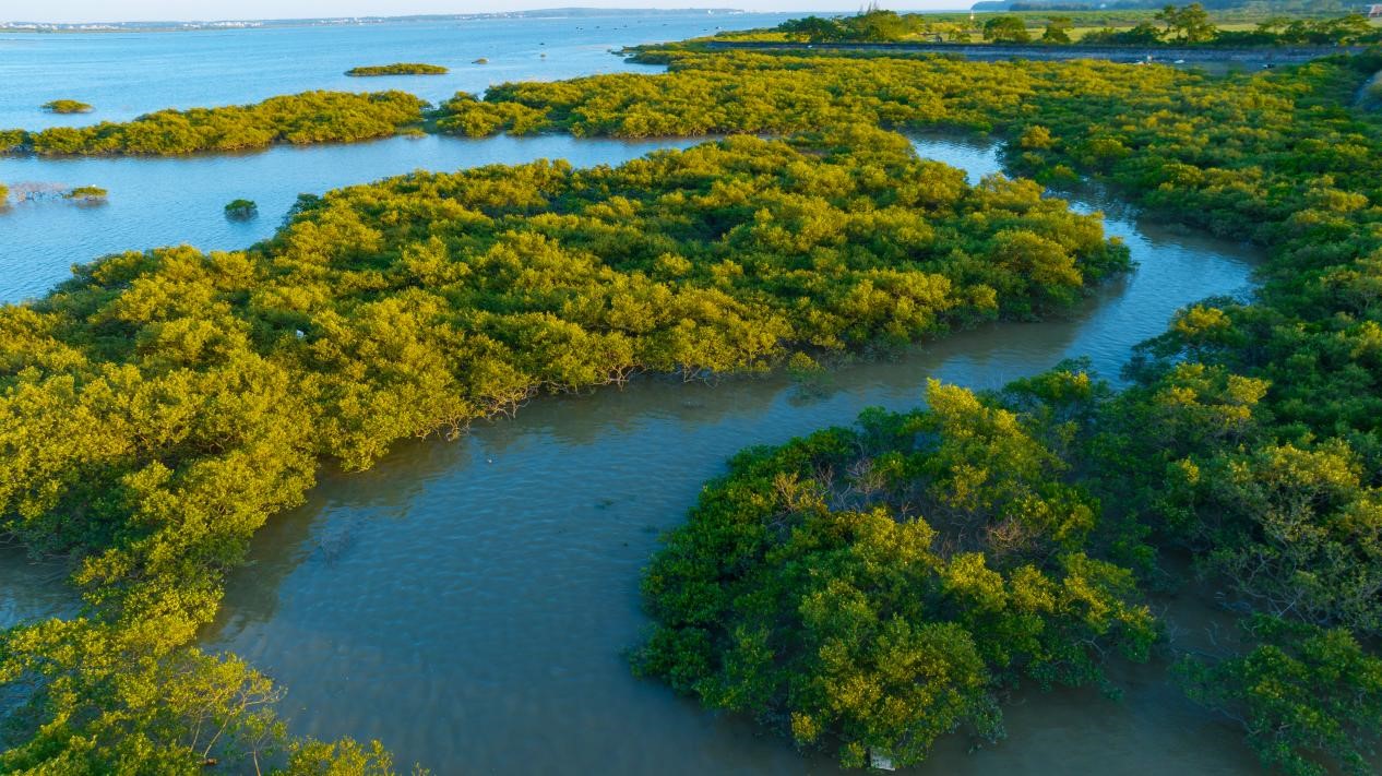 图片4.jpg 图片4.jpg