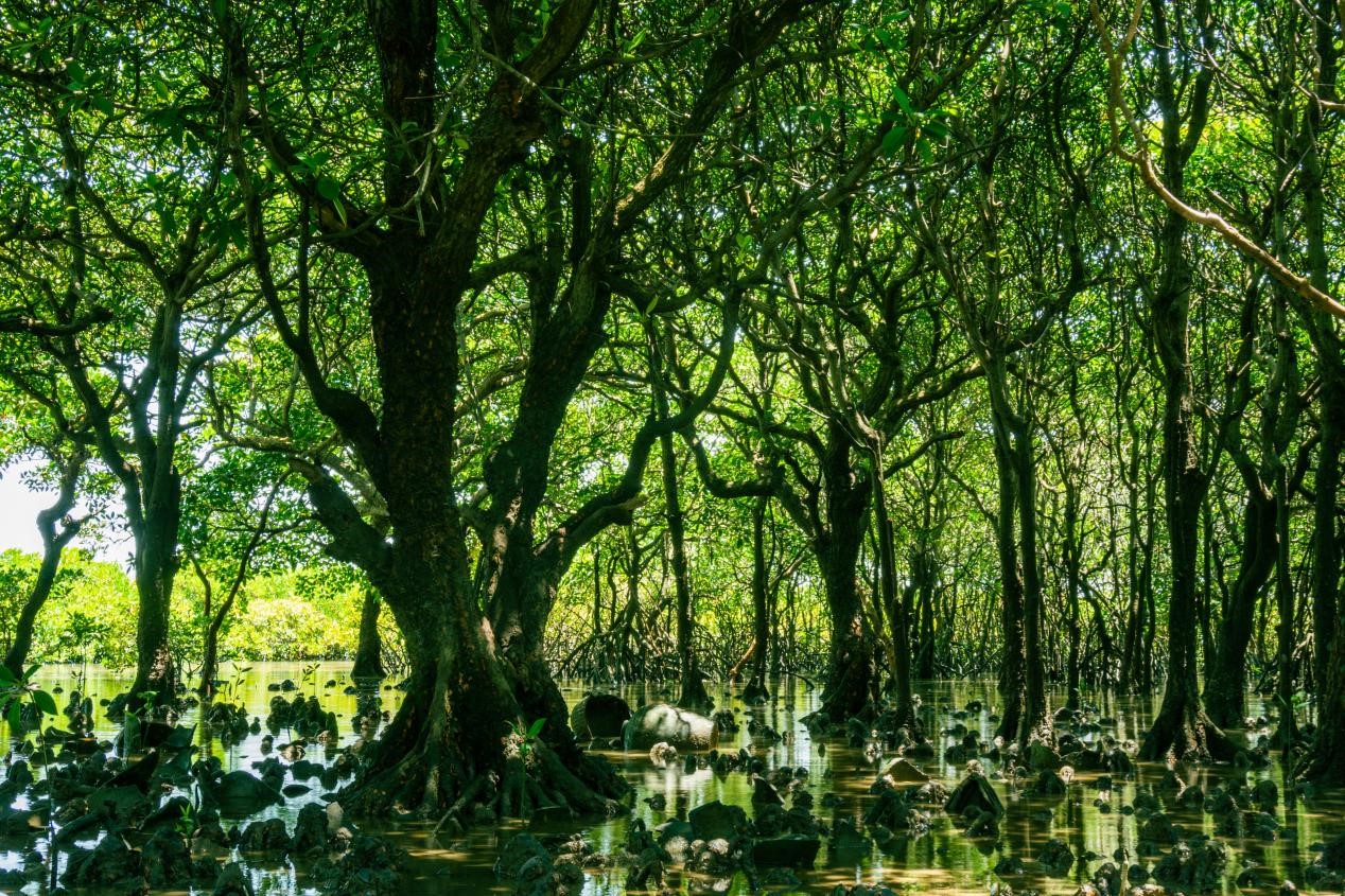 图片5.jpg 图片5.jpg