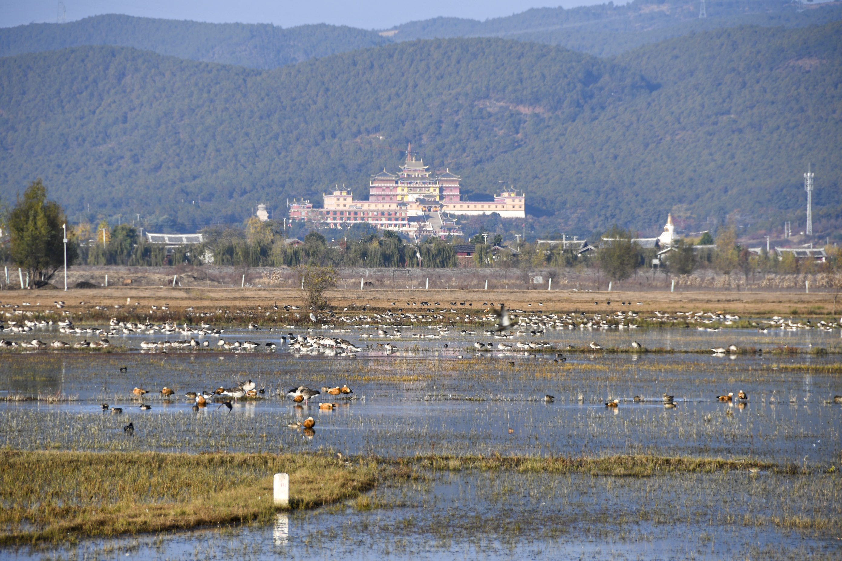 图片1.png 图片1.png