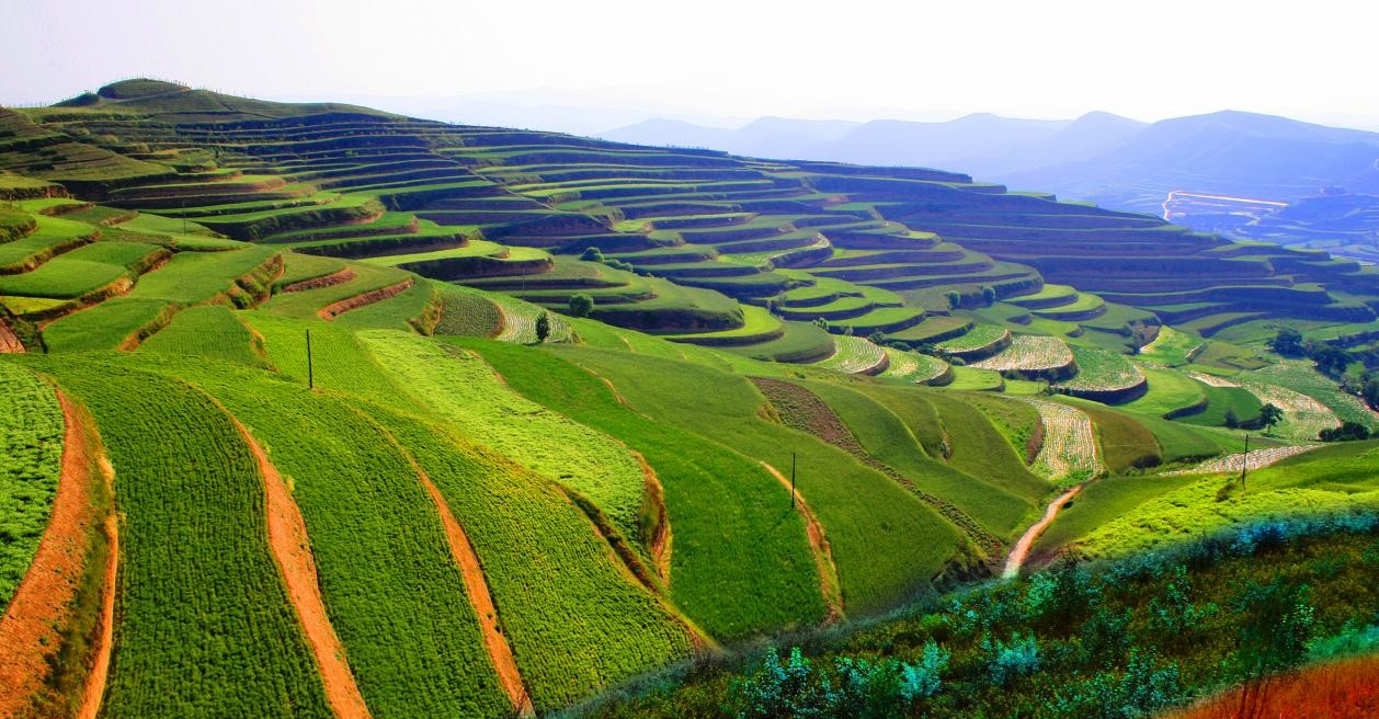 图片1.jpg 图片1.jpg