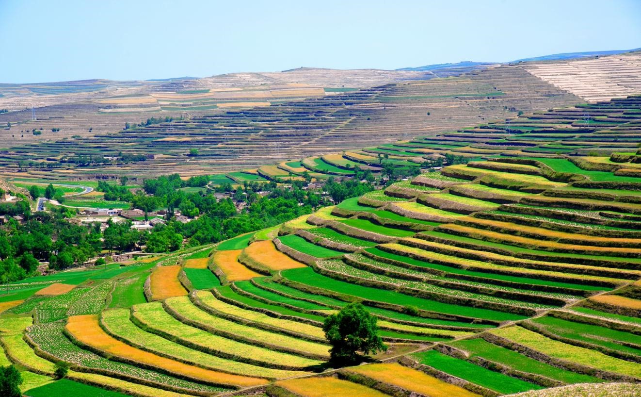 图片2.jpg 图片2.jpg