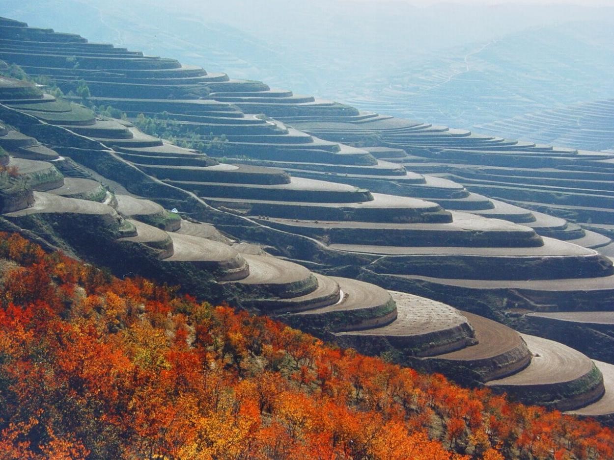 图片3.jpg 图片3.jpg