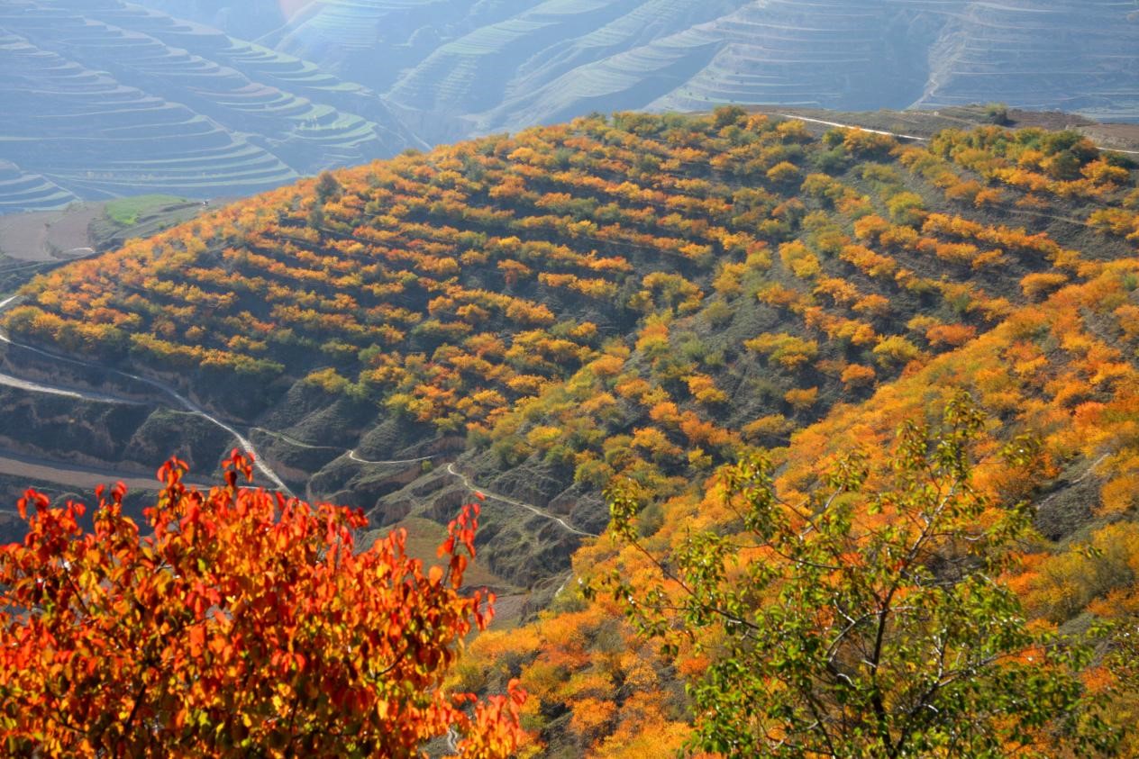 图片4.jpg 图片4.jpg