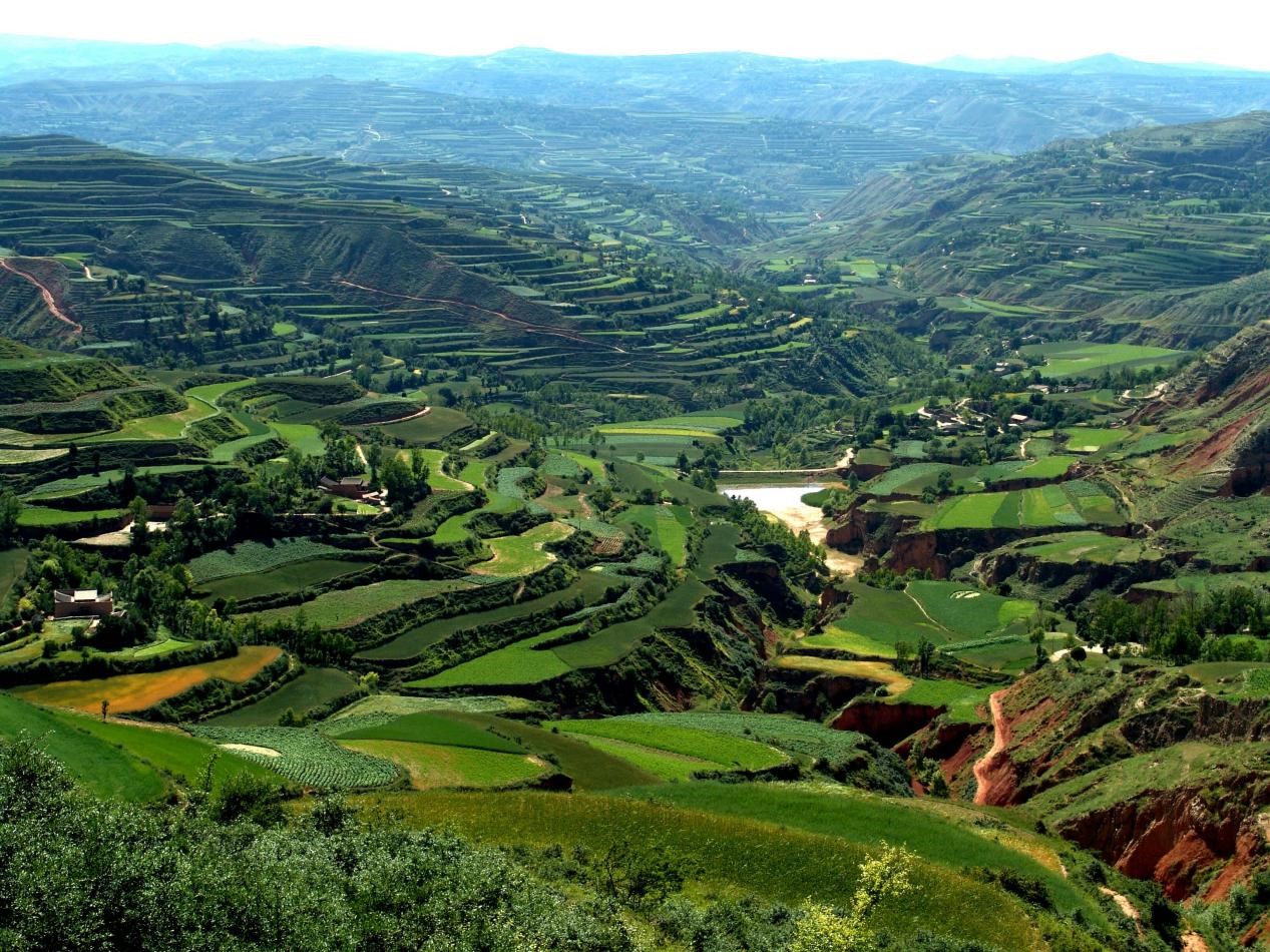 图片6.jpg 图片6.jpg