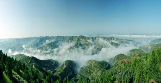 图片7.jpg 图片7.jpg