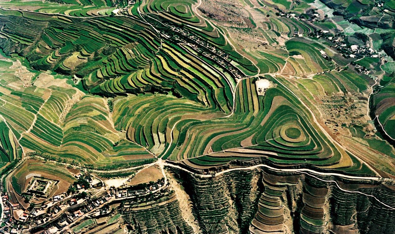 图片8.jpg 图片8.jpg