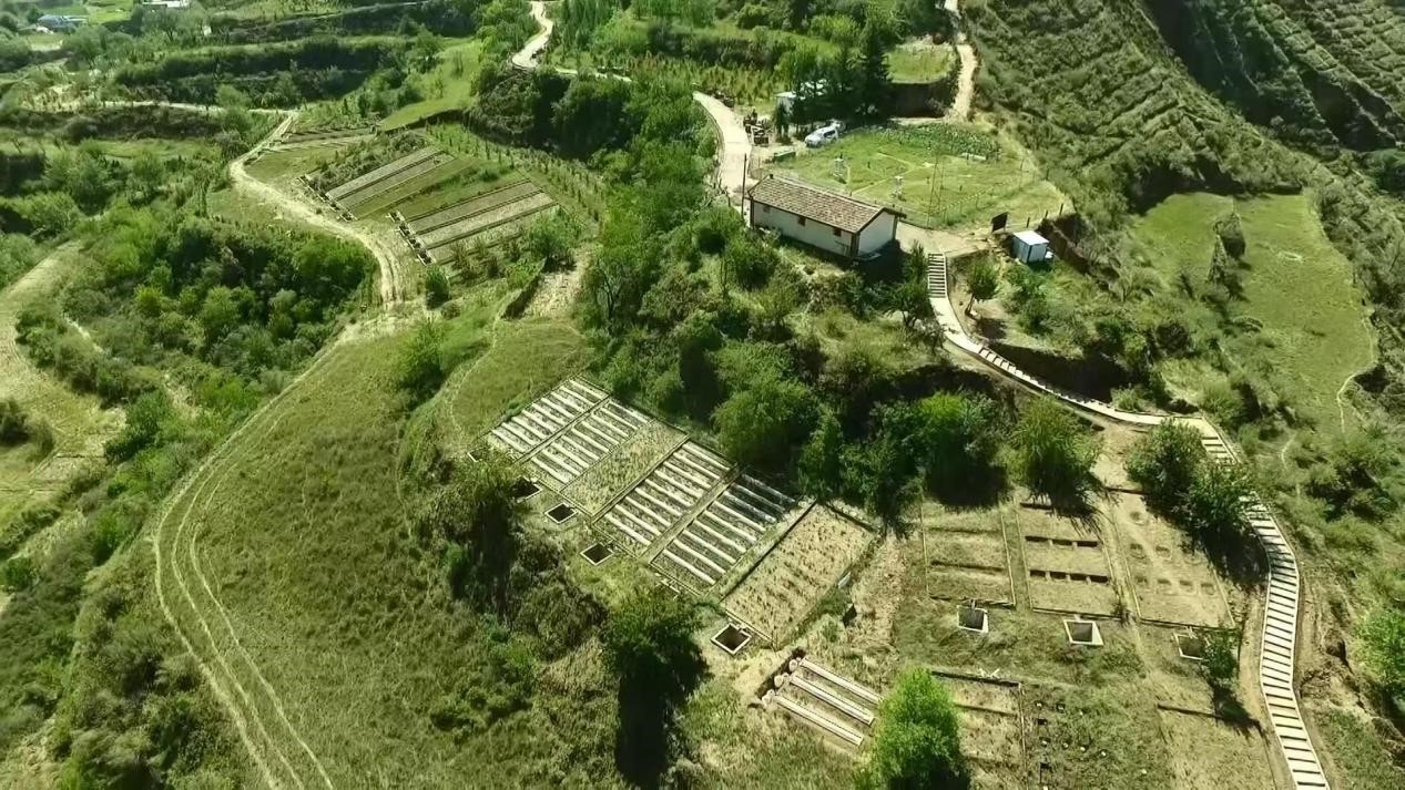 图片14.jpg 图片14.jpg