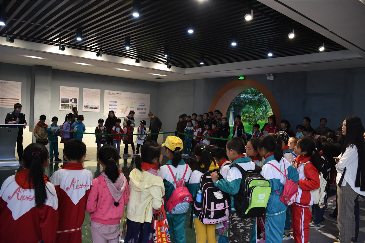 自然科普教育系列之邀请中小学生到武夷山?；で坦莶喂?png