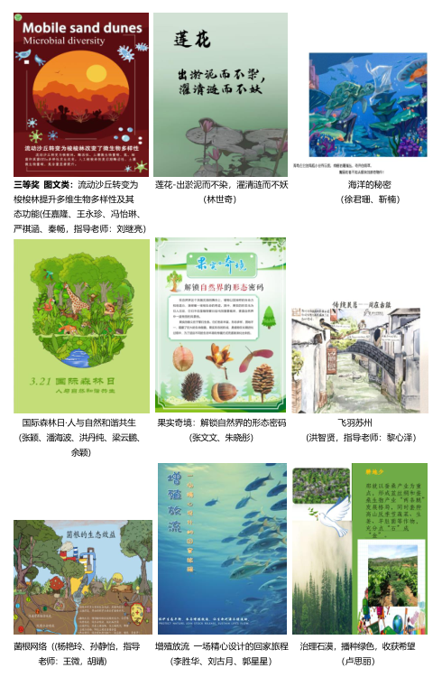 作品大赛22.png 作品大赛22.png