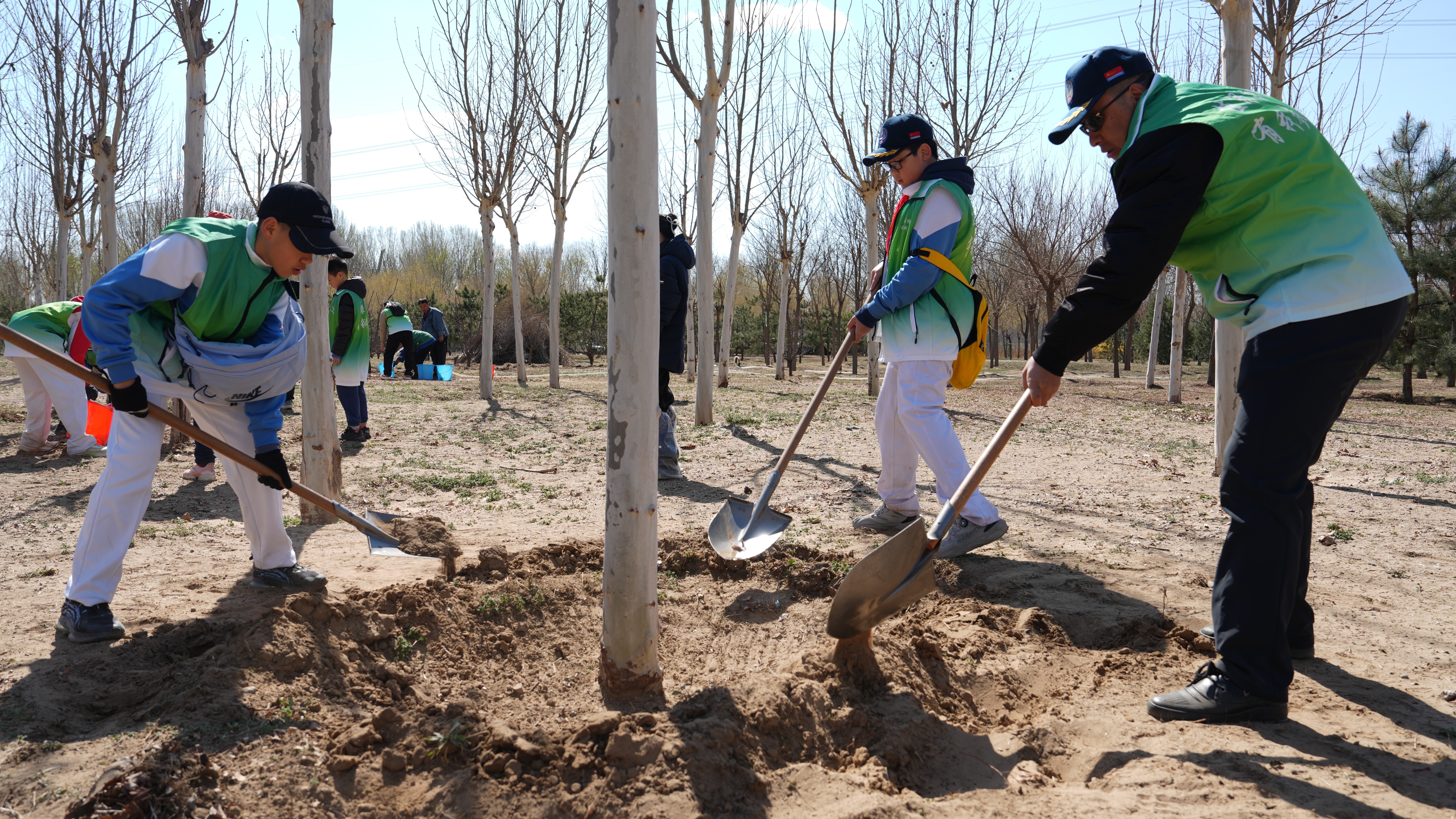 图1 志愿者护树行动.jpg