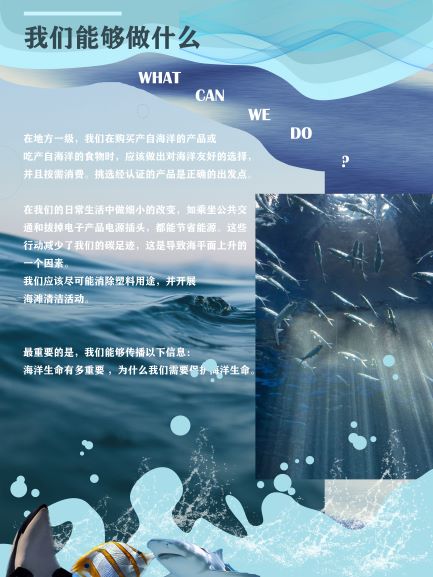0229-海洋生态系统修复(陆玮琳)(图文)3.jpg