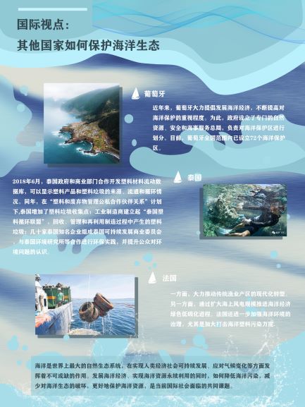 0229-海洋生态系统修复(陆玮琳)(图文)6.jpg