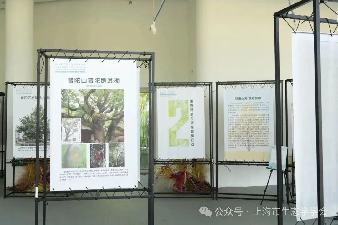 杏好有你10.jpg 杏好有你10.jpg