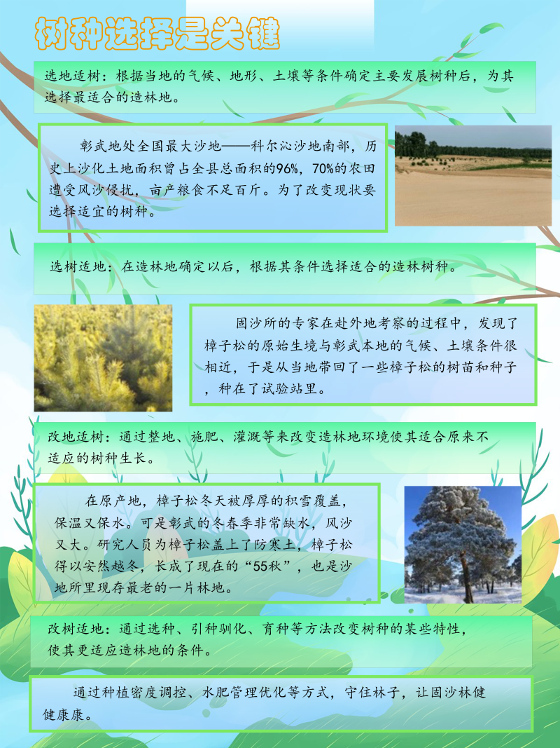 0232-茫茫沙地变林海(朱蕾、杨禹轩、刘津宁、宋亚哲、刘俏、杨雨欣，指导教师：邰姗姗、杨婷婷)(图文)第6页.png