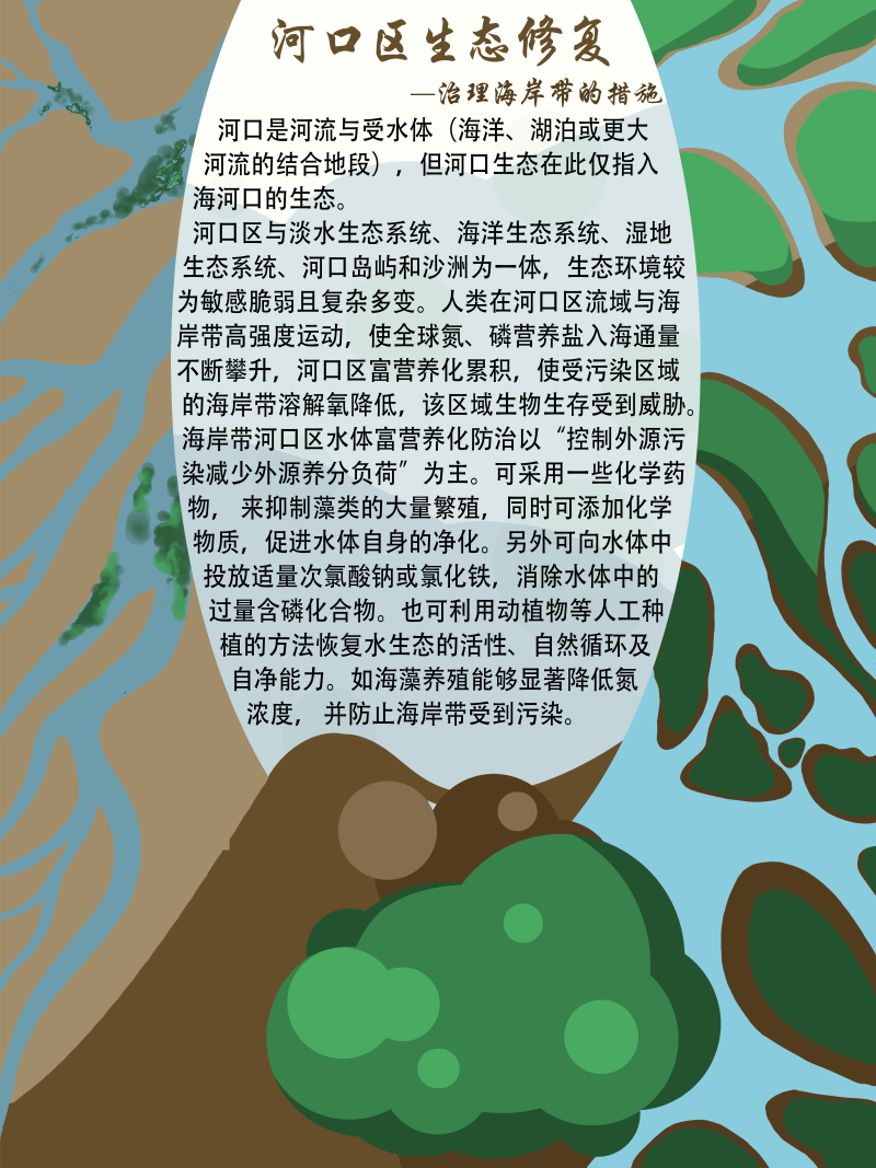 0267-修复与治理海岸带生态系统(谢依霖、吕威娜、金玫彤、徐洋、曹艺玮、郝雅琪)(图文)6-河口区生态修复.png