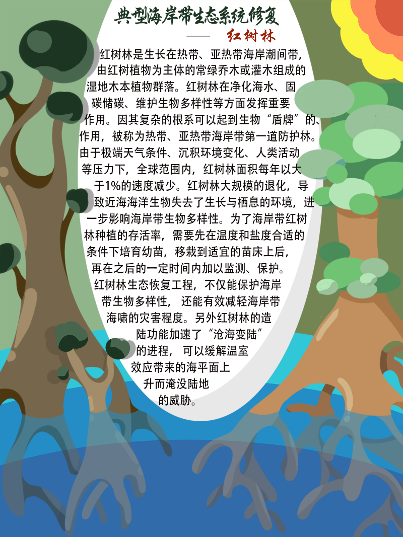 0267-修复与治理海岸带生态系统(谢依霖、吕威娜、金玫彤、徐洋、曹艺玮、郝雅琪)(图文)7-典型生态系统修复—红树林.png