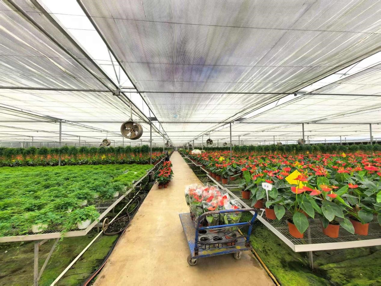 南宁花卉公园3.jpg 南宁花卉公园3.jpg